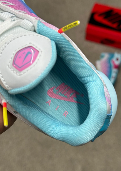 Nike TN (rosa y azul)