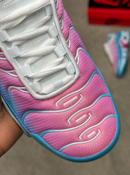 Nike TN (rosa y azul)