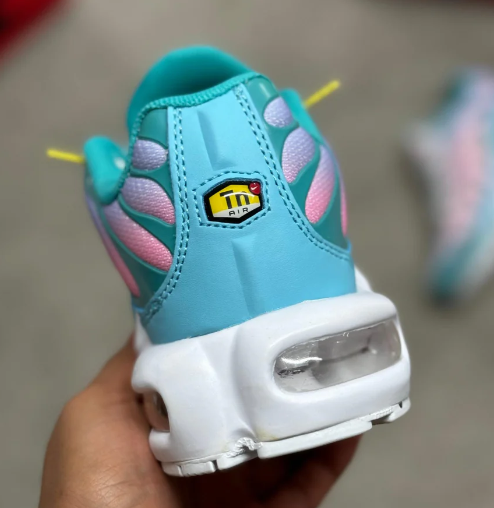 Nike TN (turquesa y rosa)